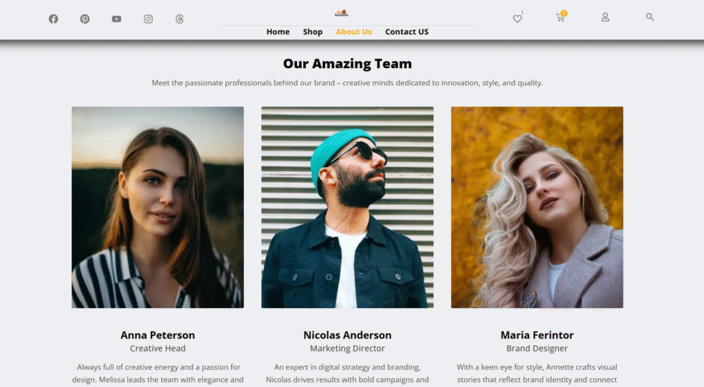screenshot about us page
